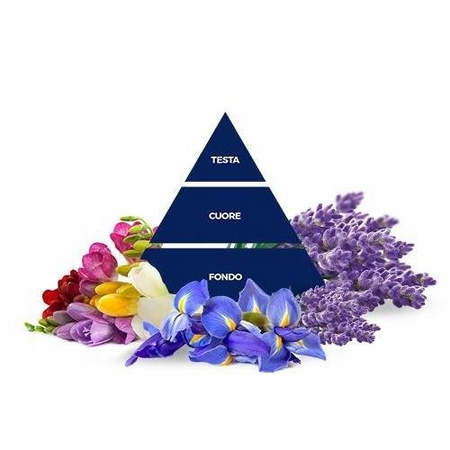 Felce Azzurra Lavenda in Fiore