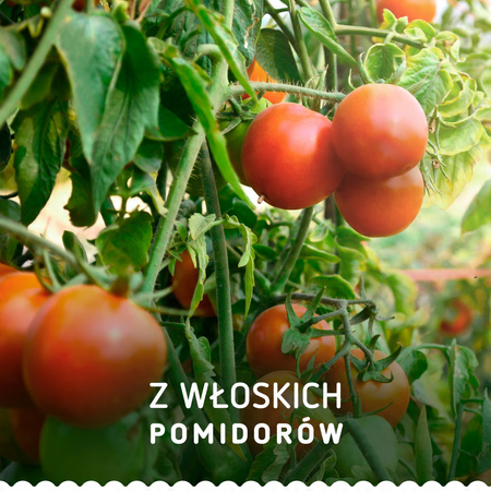 Sos Barilla Pesto Rosso 200g