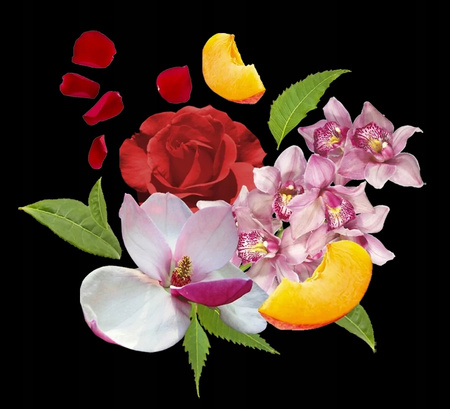 Compagnia Delle Indie Płyn do kąpieli Orchidea i Drzewo Cedrowe 500 ml