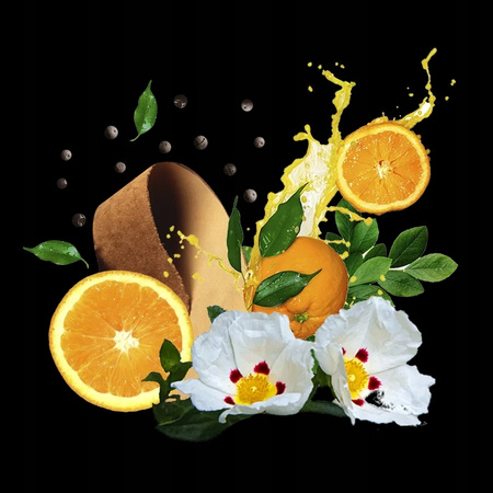 Compagnia Delle Indie Płyn do kąpieli Pomarańcza 500 ml