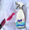Dasty Odplamiacz Stain Remover&Odors 600ml IT